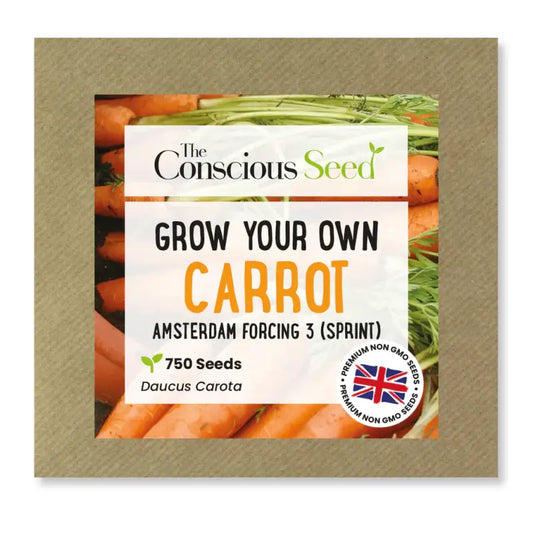 CARROT - Daucus Carota - 750 Premium Non-Gmo Seeds - Seeds