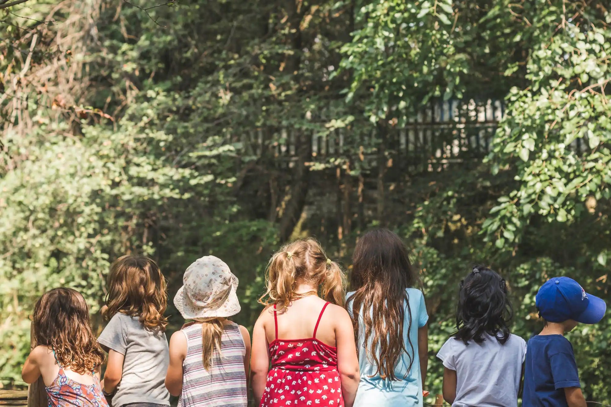 Children facing trees.