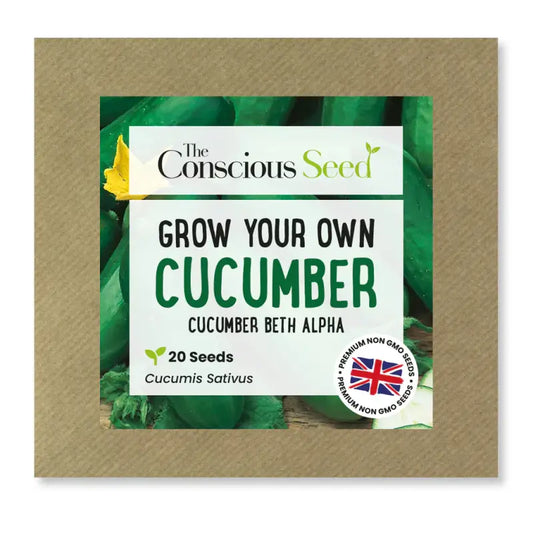 CUCUMBER - Cucumis Sativus - 20 Premium Non-Gmo Seeds - Seeds