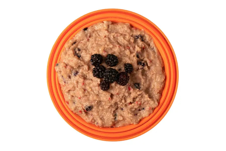 Custard with Mixed Berries Pouches - Freeze Dried Food
