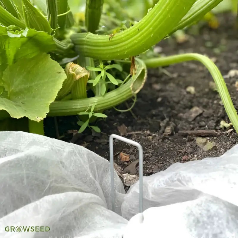 Ground Pegs - Pack of 20 - Ground Pegs