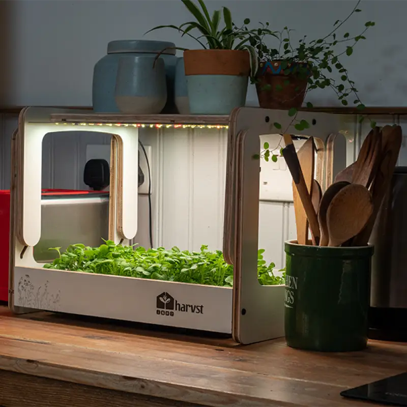 H-Mini Countertop Indoor Garden - Indoor Garden