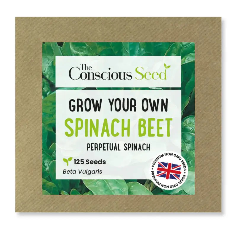 SPINACH - Beta Vulgaris - 125 Premium Non-Gmo Seeds - Seeds