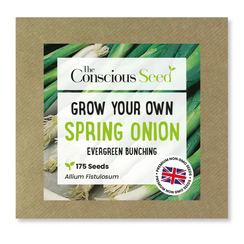 SPRING ONION - Allium fistulosum - 175 Premium Non-Gmo Seeds - Seeds