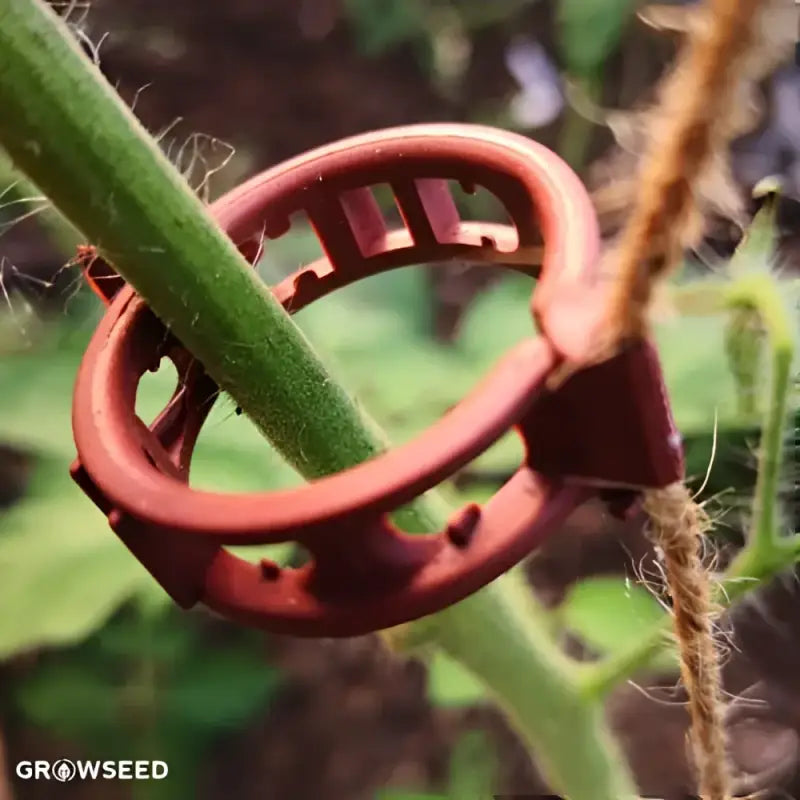 Tomato Trellis Clips - Trellis Clips