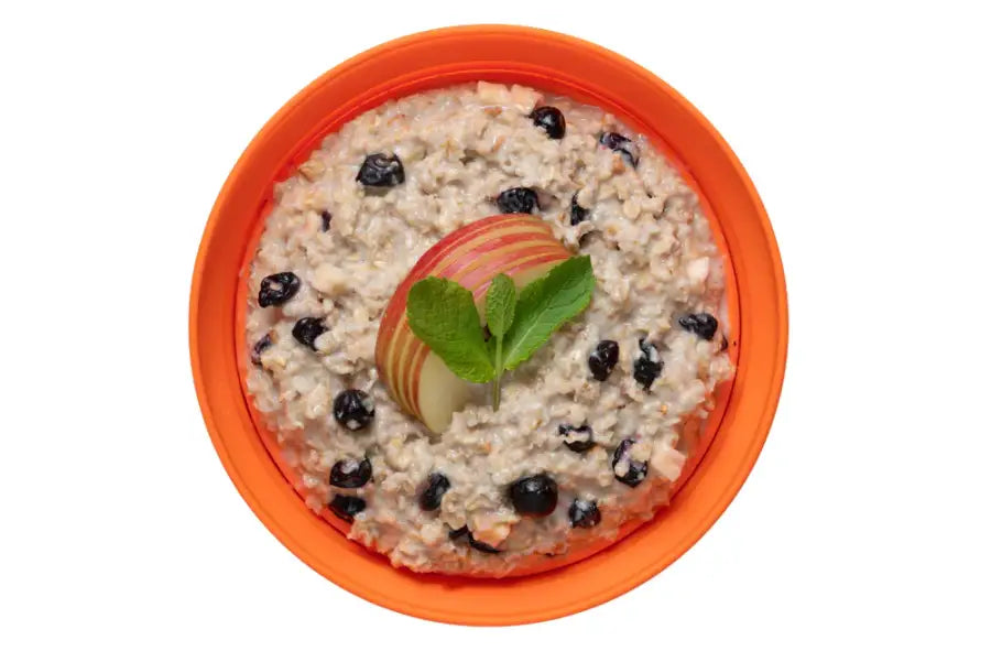 Vegan Rolled Oats Apple and Blackcurrant Pouches - Freeze Dried Food