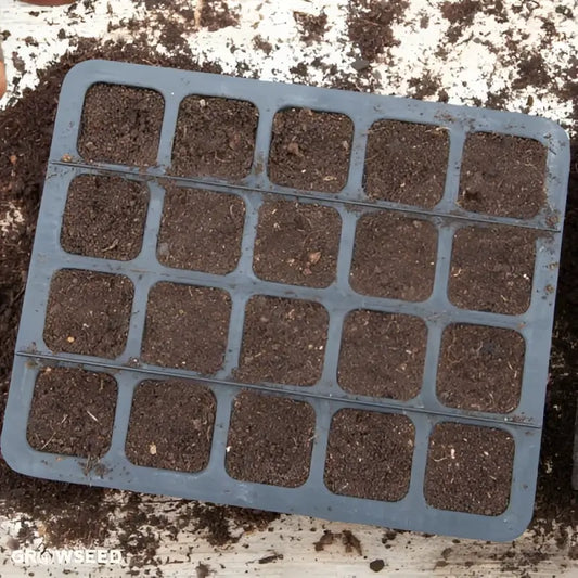 20 Cell Natural Rubber Seed Tray - Seed Tray