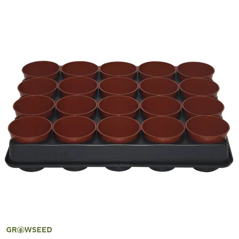 6cm Round Pots & Carry Tray - Plant Pots