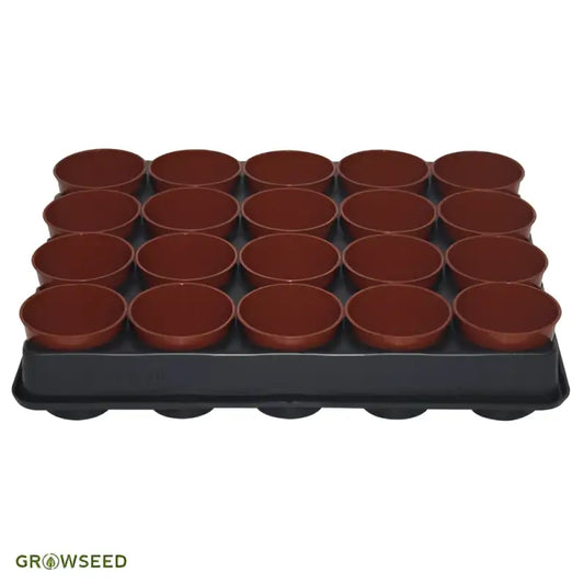 6cm Round Pots & Carry Tray - Plant Pots