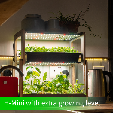 H-Mini Accessory - Extra Growing Level