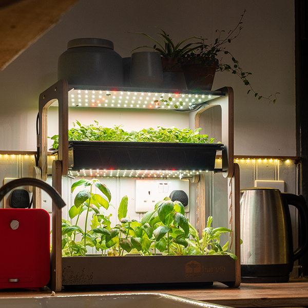 H-Mini Countertop Indoor Garden