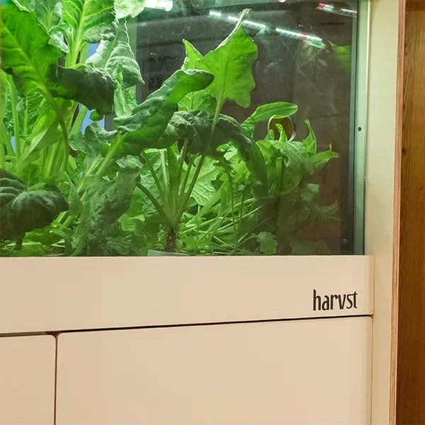 H-Series windows and bookends