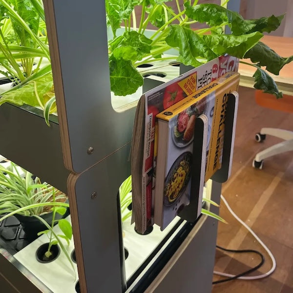 H-Series windows and bookends