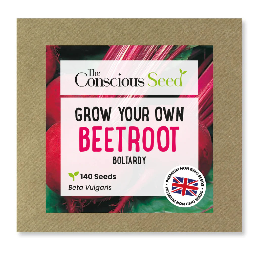 BEETROOT - Beta Vulgaris - 140 Premium Non Gmo Seeds