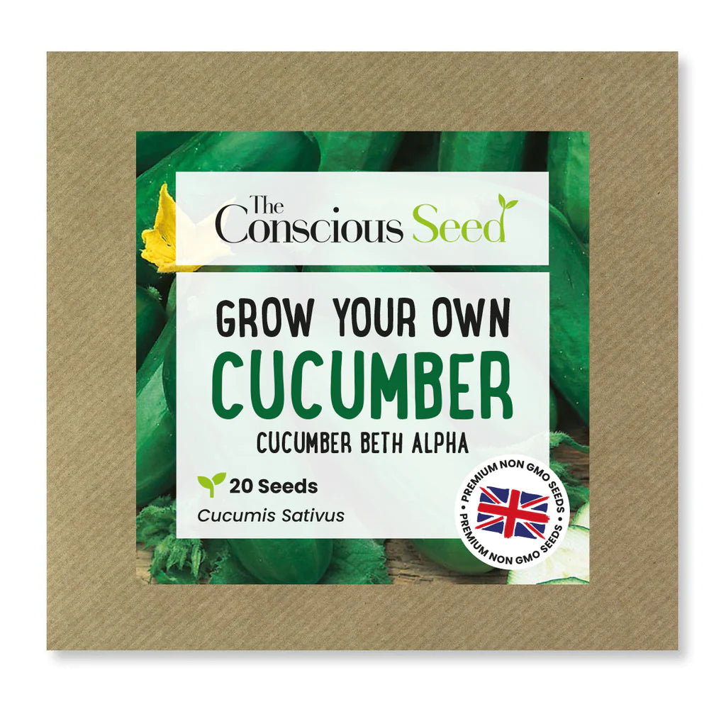 CUCUMBER - Cucumis Sativus - 20 Premium Non-Gmo Seeds