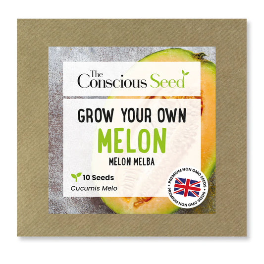 MELON - Cucumis Melo - 20 Premium Non-Gmo Seeds