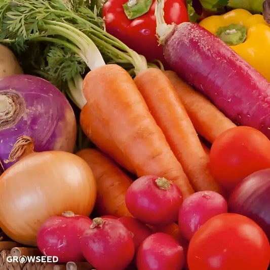 Allotment Seed Kit - Seeds