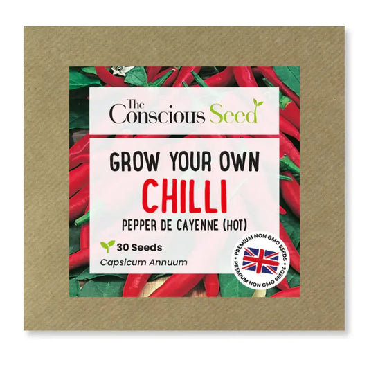 CHILLI - Capsicum Annuum - 30 Premium Non-Gmo Seeds - Seeds