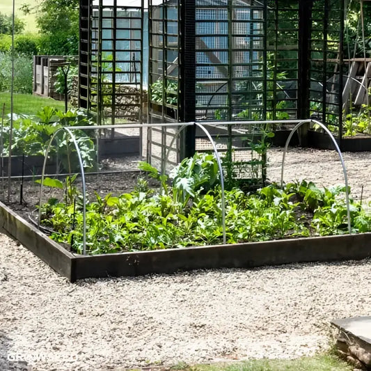 Cloche Curves - Cloche Curves