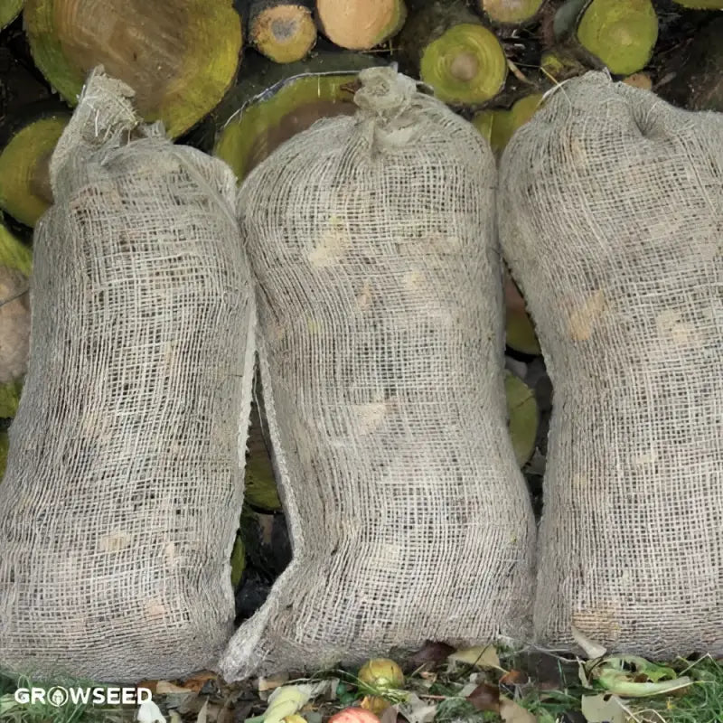 Composting Sacks x 3 - Compost Sack