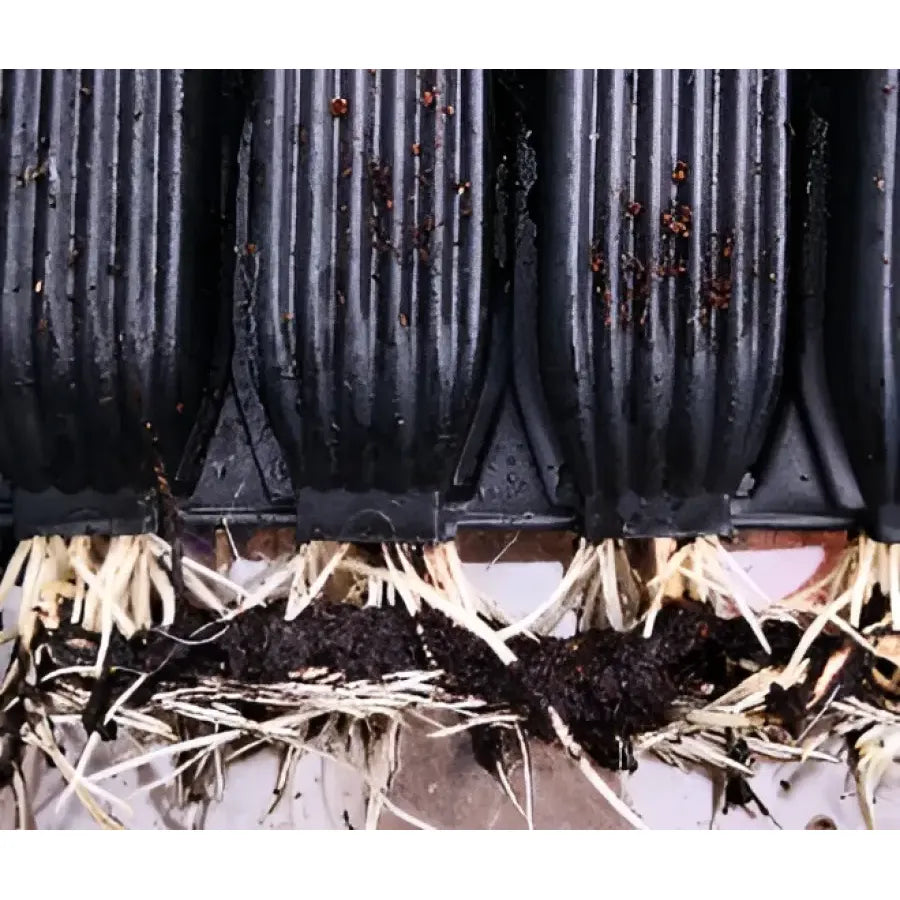 Deep Root Trainer Sets - Root Trainer