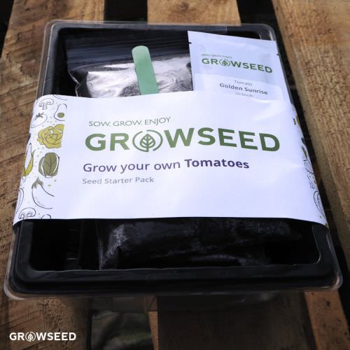 Grow Your Own Vegetable Kit