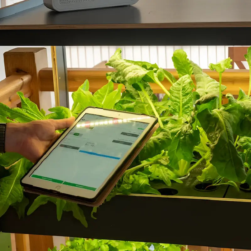 H-Series Indoor Garden with Smart Nursery Technology - Indoor Garden