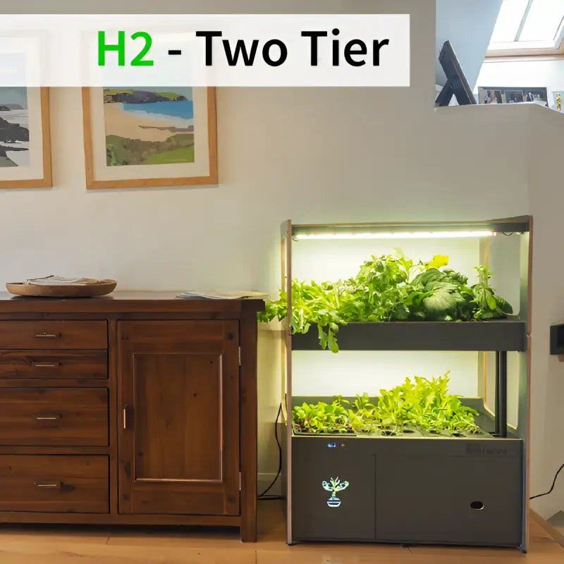 H-Series Indoor Garden with Smart Nursery Technology - H2 - Indoor Garden