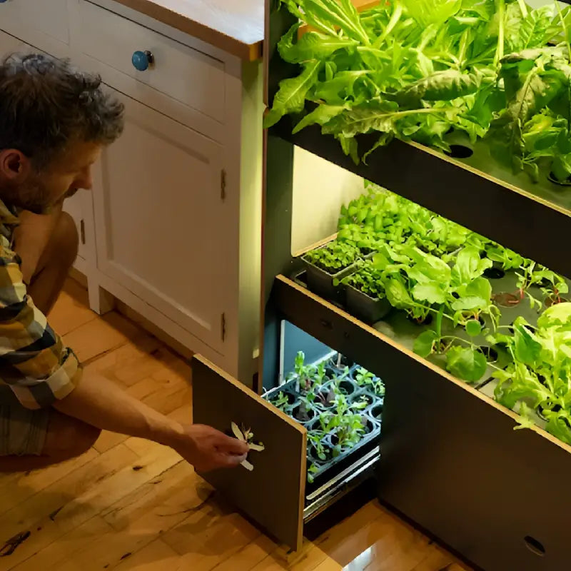 H-Series Indoor Garden with Smart Nursery Technology - Indoor Garden