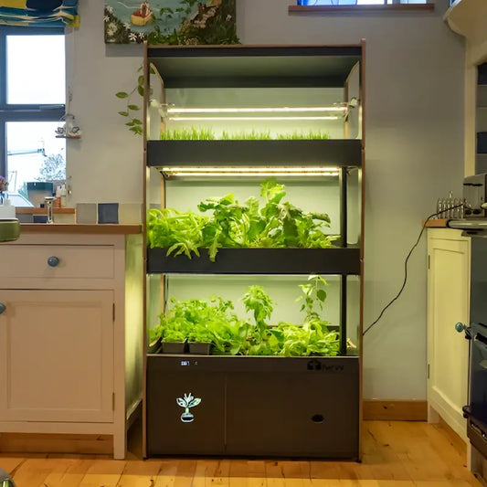 H-Series Indoor Garden with Smart Nursery Technology - Indoor Garden