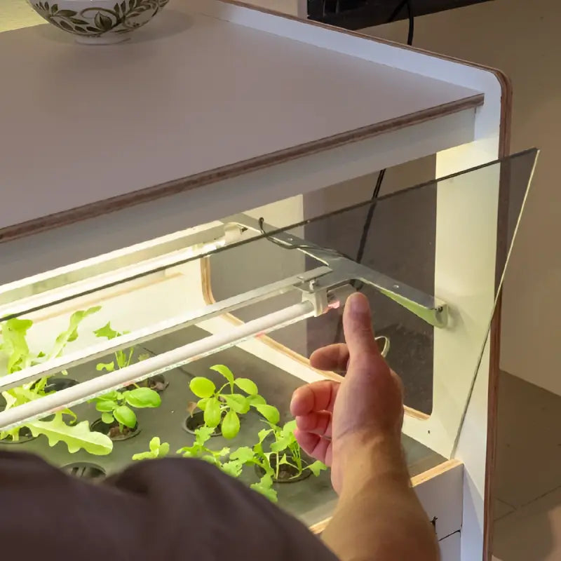 H-Series Indoor Garden with Smart Nursery Technology - Indoor Garden