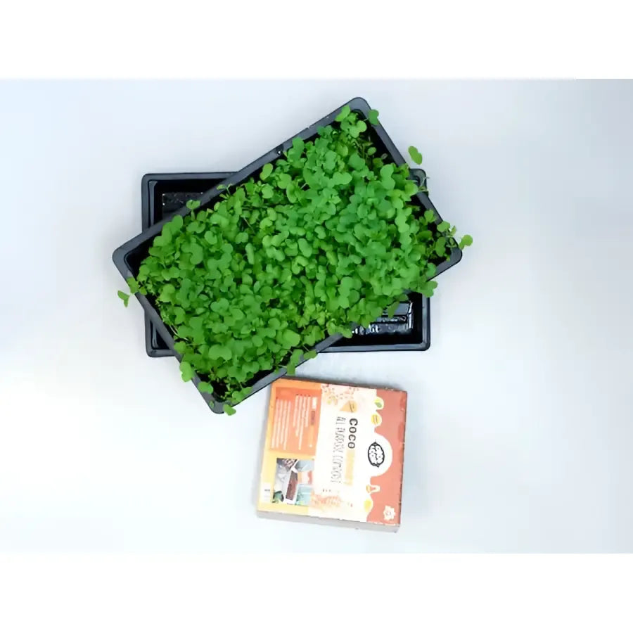 H-Series Microgreens Kit – Single - Seed Kit