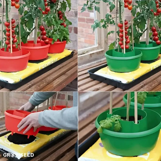 Halo Watering Rings - Red / 6 Rings - Plant Watering