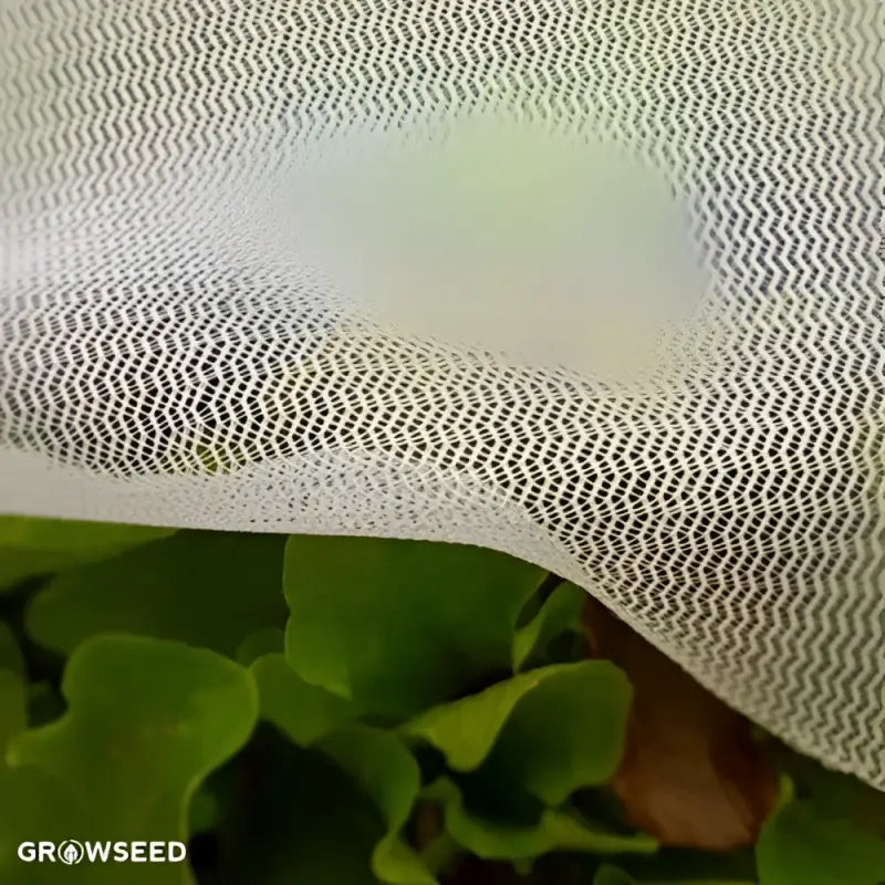 Insect Netting - Insect Netting