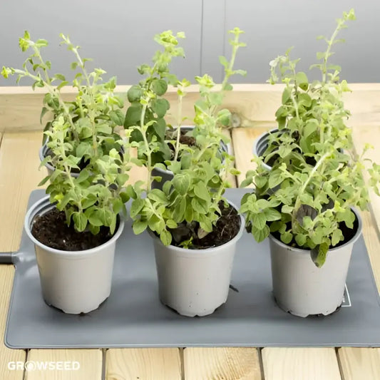 Medium Heat Mat - Heat Mat