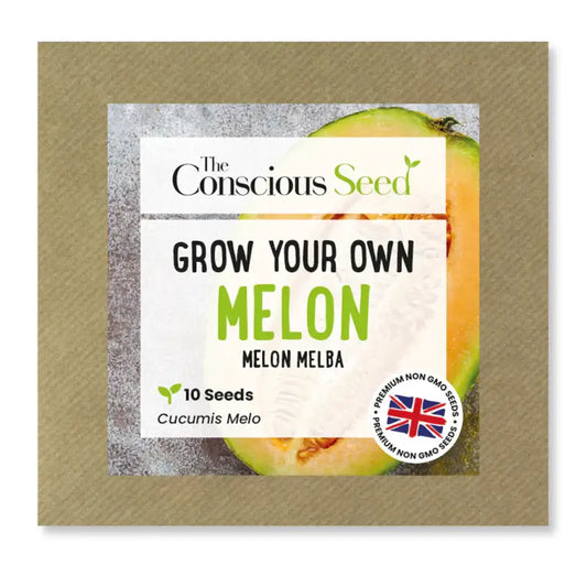 MELON - Cucumis Melo - 20 Premium Non-Gmo Seeds - Seeds