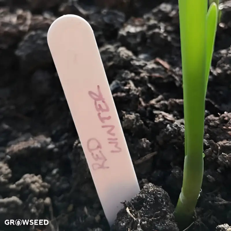 Plastic Plant Markers - 100 - Plastic Markers