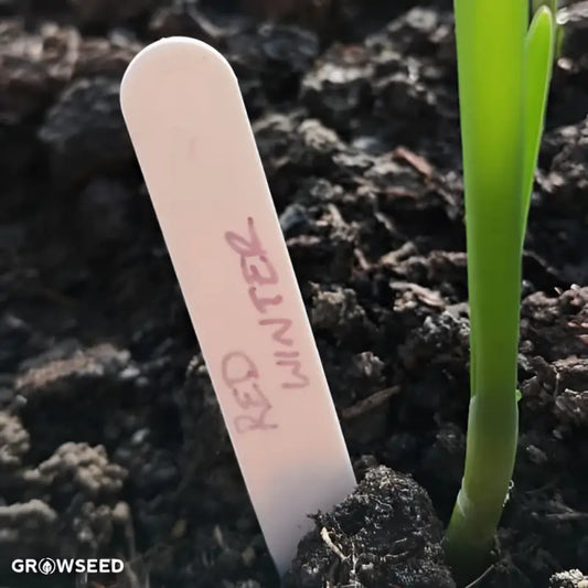 Plastic Plant Markers - 100 - Plastic Markers