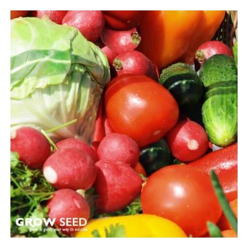 Summer Vegetable Seed Kit