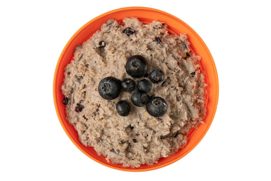 Porridge with Blueberries Pouches - BULK BUY